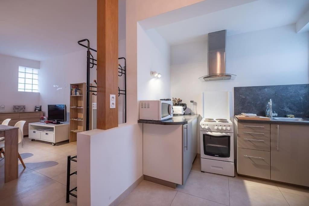 Le Dauphin Apartment Amboise Exterior photo